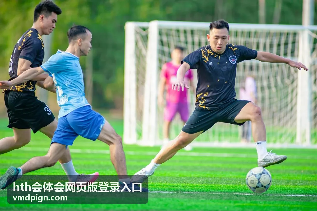 hth会体会网页版登录入口安全验证与新设备确认